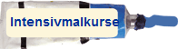 Intensivmalkurse